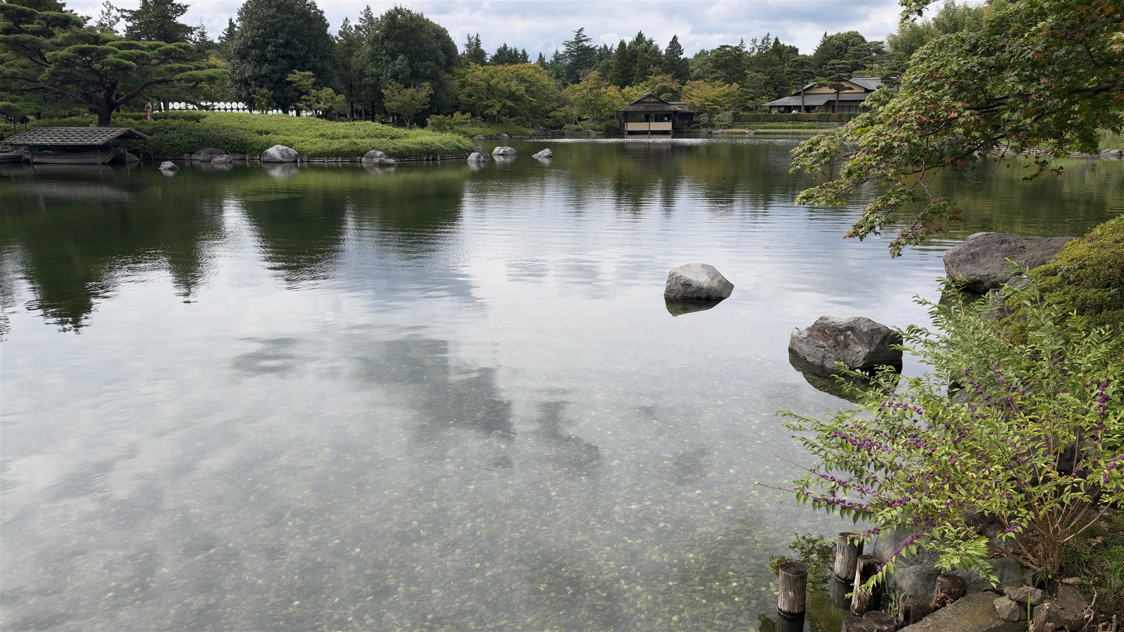 庭の緑を反射する池の水面