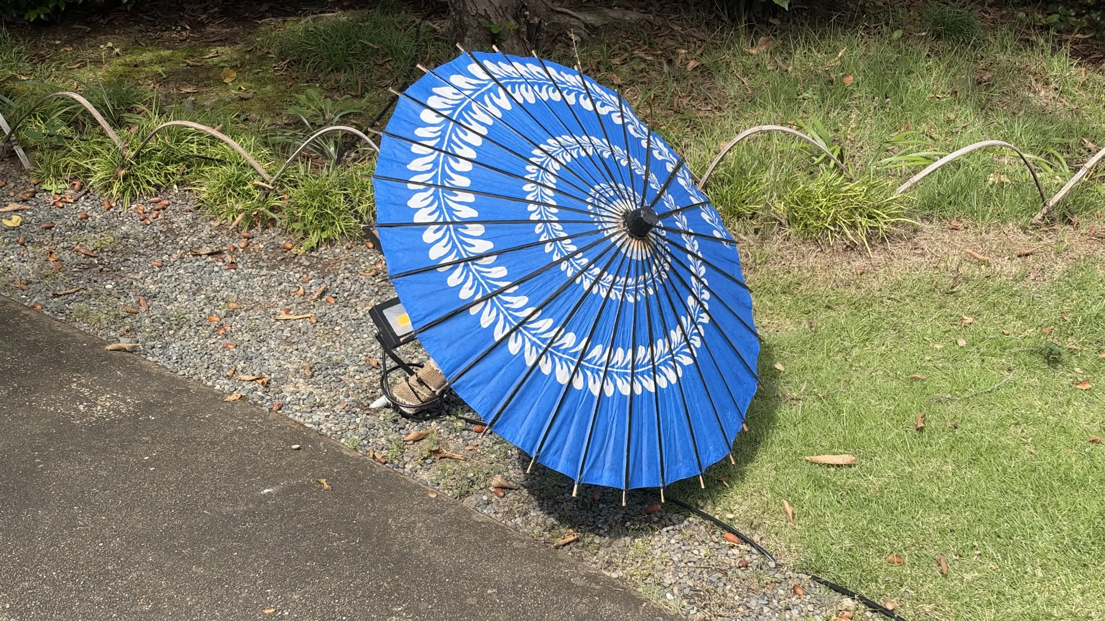 紫色の和傘を近くで写した一枚